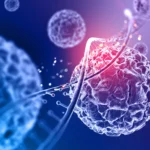 Medical illustration representing regenerative medicine, cellular repair, and DNA activity